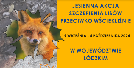 JESIENNA AKCJA SZCZEPIENIA LISÓW PRZECIWKO WŚCIEKLIŹNIE